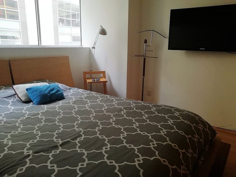 SUPER APARTMENT AT THE HEART OF NEW POLANCO AREA
