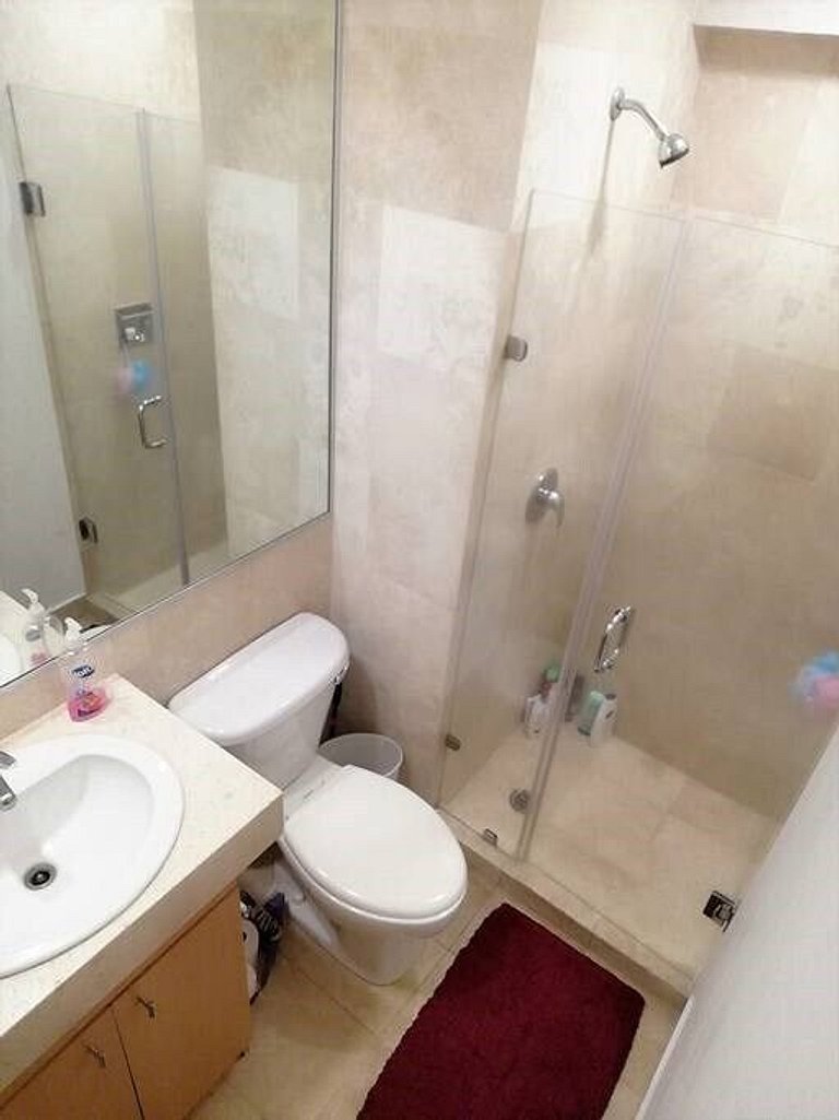 SUPER APARTMENT AT THE HEART OF NEW POLANCO AREA