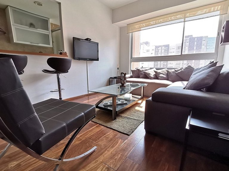 INCREDIBLE APARTMENT IN THE TRENDY AREA: NEW POLANCO