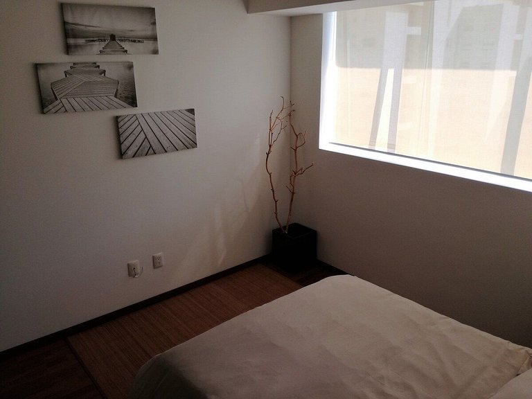 INCREDIBLE APARTMENT IN THE TRENDY AREA: NEW POLANCO