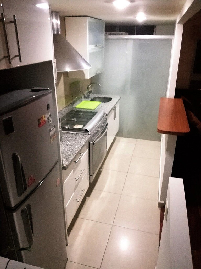 INCREDIBLE APARTMENT IN THE TRENDY AREA: NEW POLANCO
