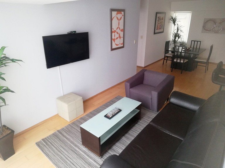 Magnificent 2BR+2BA Apartment @Antara Polanco