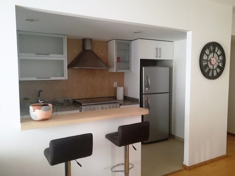 Magnificent 2BR+2BA Apartment @Antara Polanco