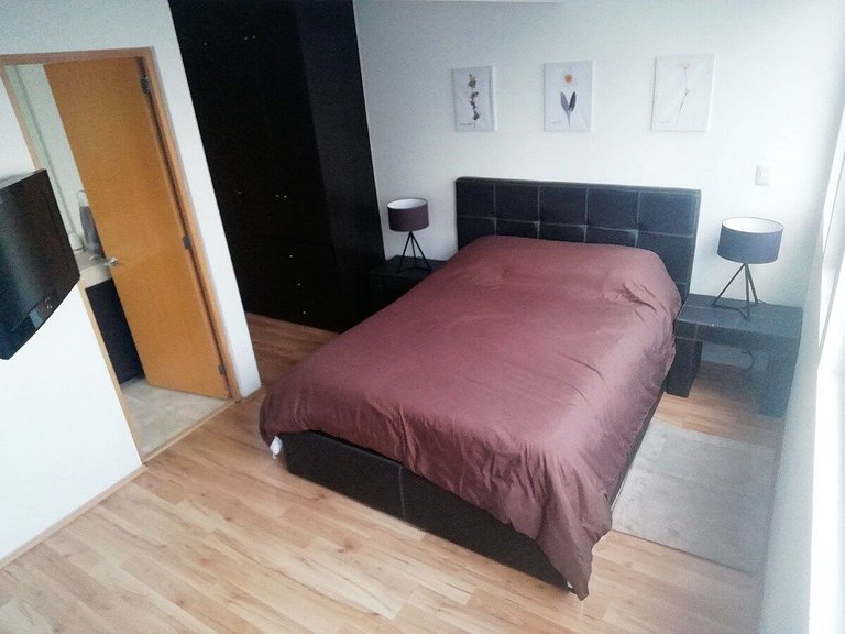 Magnificent 2BR+2BA Apartment @Antara Polanco