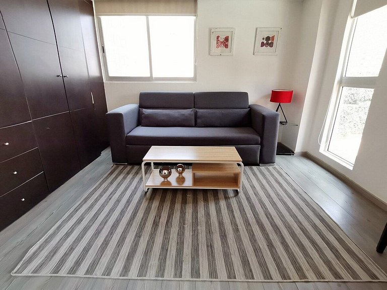 SPECTACULAR APARTMENT WITH LARGE PRIVATE TERRACE