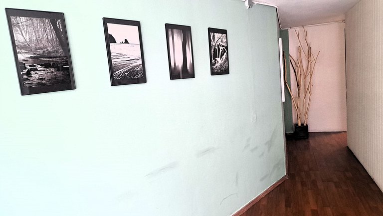 3 RECS: BEAUTIFUL, SPACIOUS AND IMMEDIATE TO PASEO REFORMA
